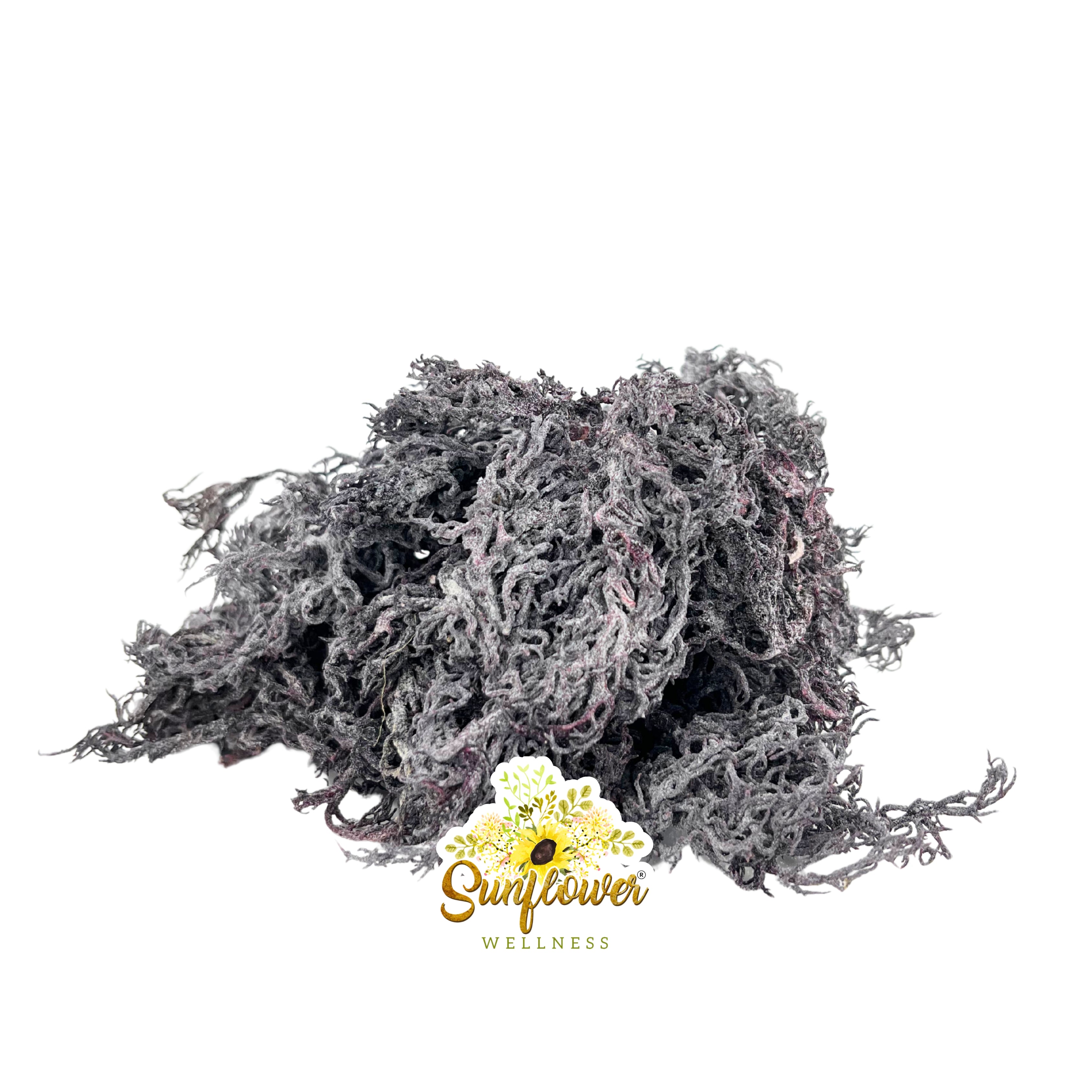Wildcrafted purple sea moss from St Lucia – air-dried, raw, 100% natural superfood – showing premium quality on a white background by Sunflower Wellness