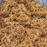 Raw Gold Sea Moss | St. Lucia Special (Grade B)