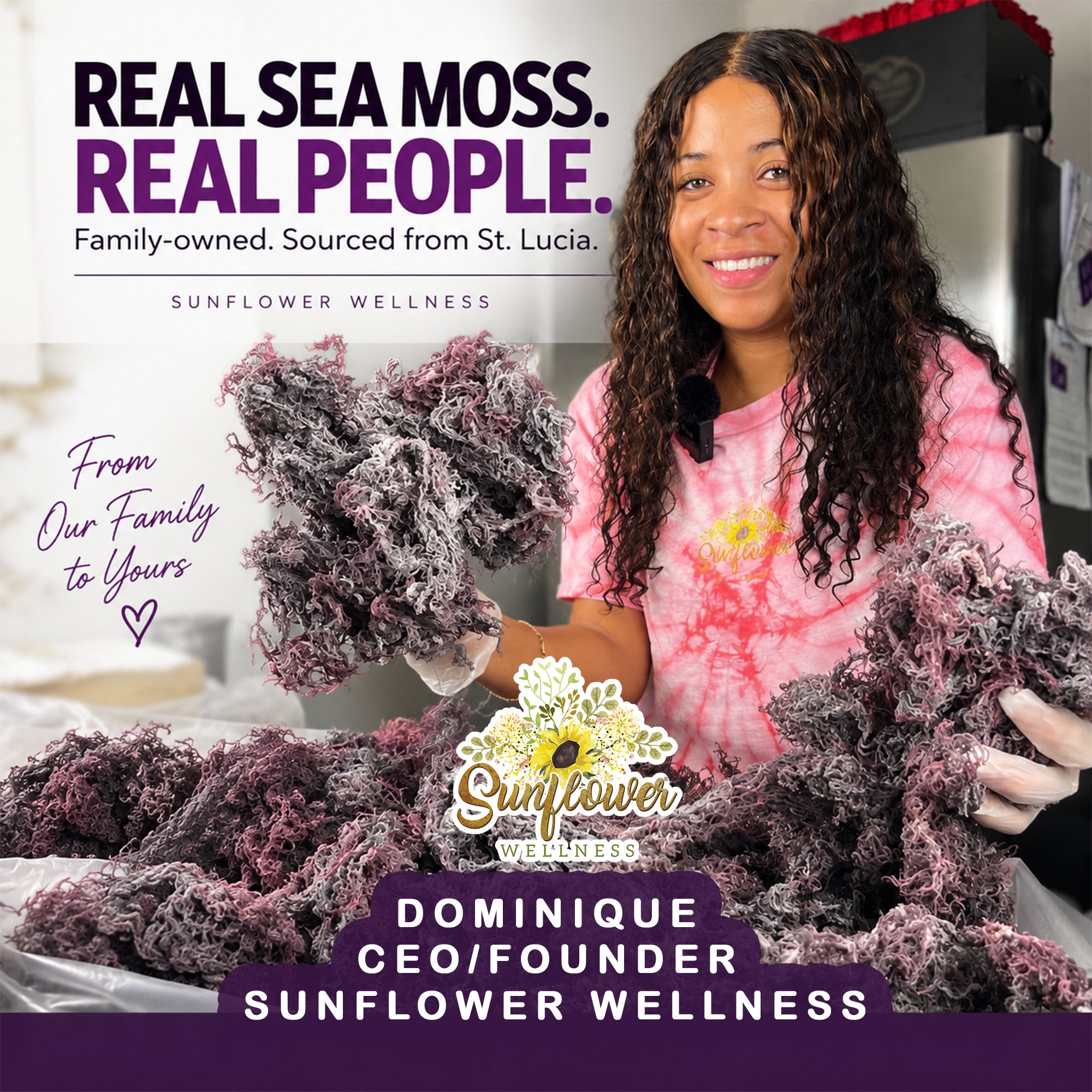 St. Lucia Purple Sea Moss - Raw, Wildcrafted