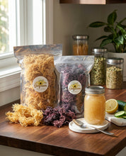 Sunflower Wellness St. Lucia sea moss in gold and purple varieties, packaged raw and shown with prepared sea moss gel on a kitchen counter.