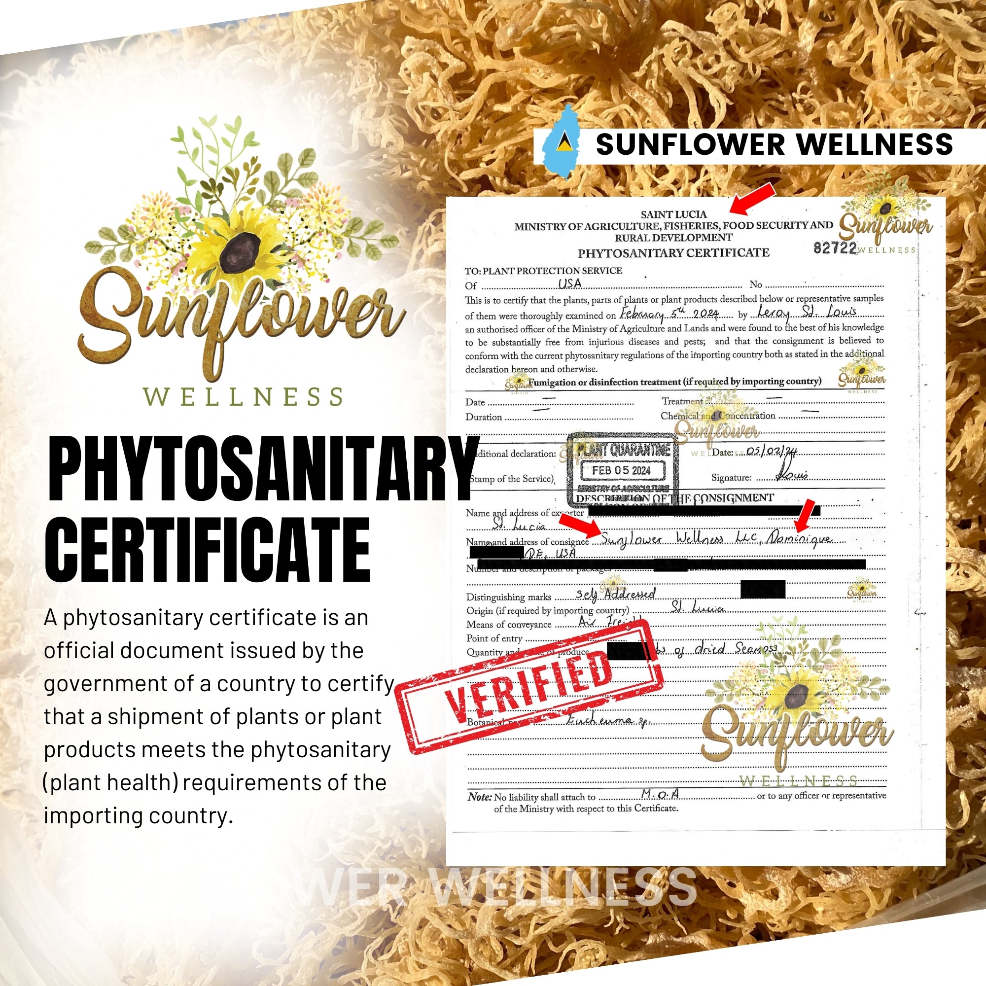 real sea moss phytosanitary certificate