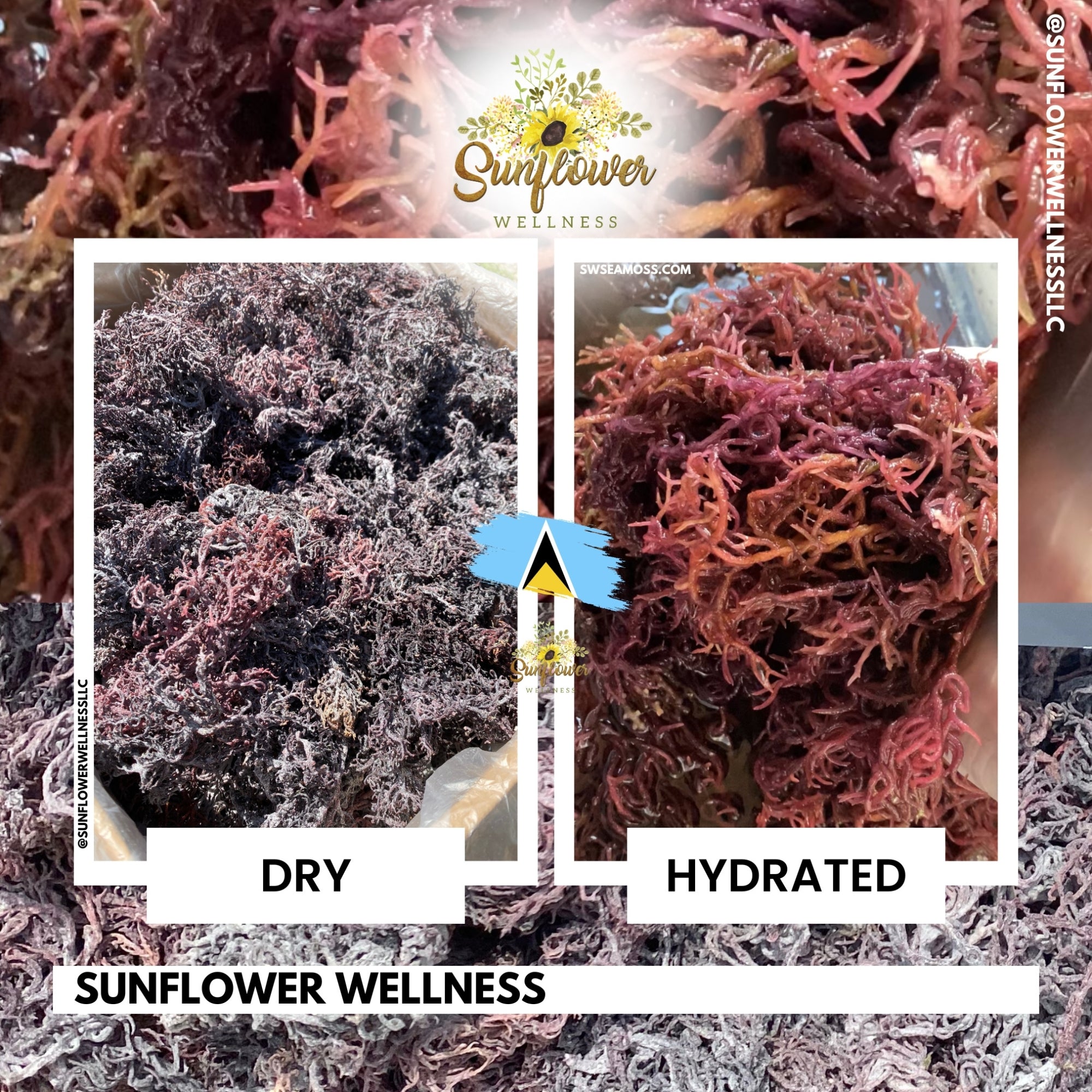 Saint Lucia Purple Sea Moss - Raw