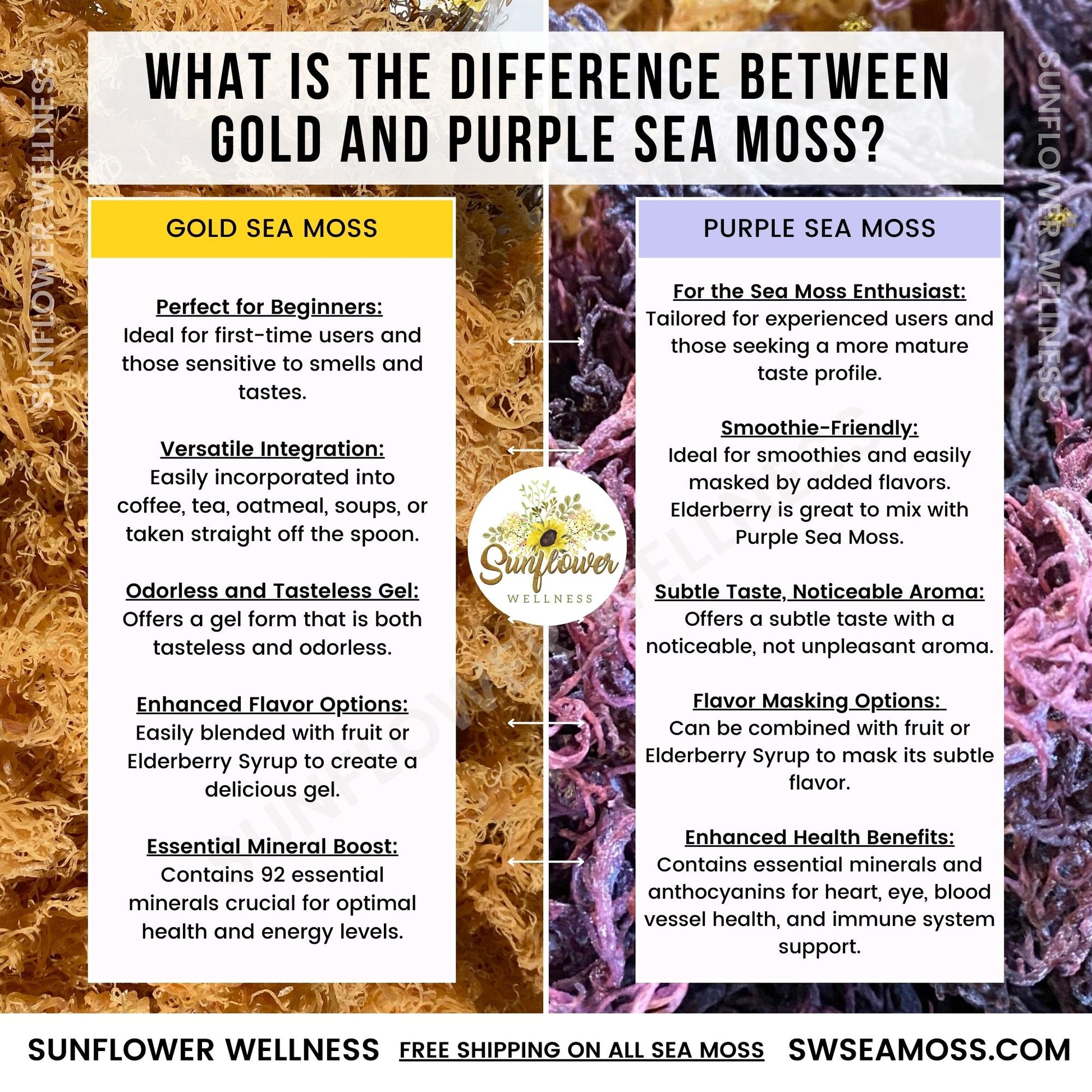 BULK WHOLESALE FULL SPECTRUM Raw Natural Sea Moss from St. Lucia.  Wildcrafted Superfood! – Saint Luscious