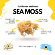 Sea Moss Bundle Raw Gold/Purple St. Lucia Sea Moss