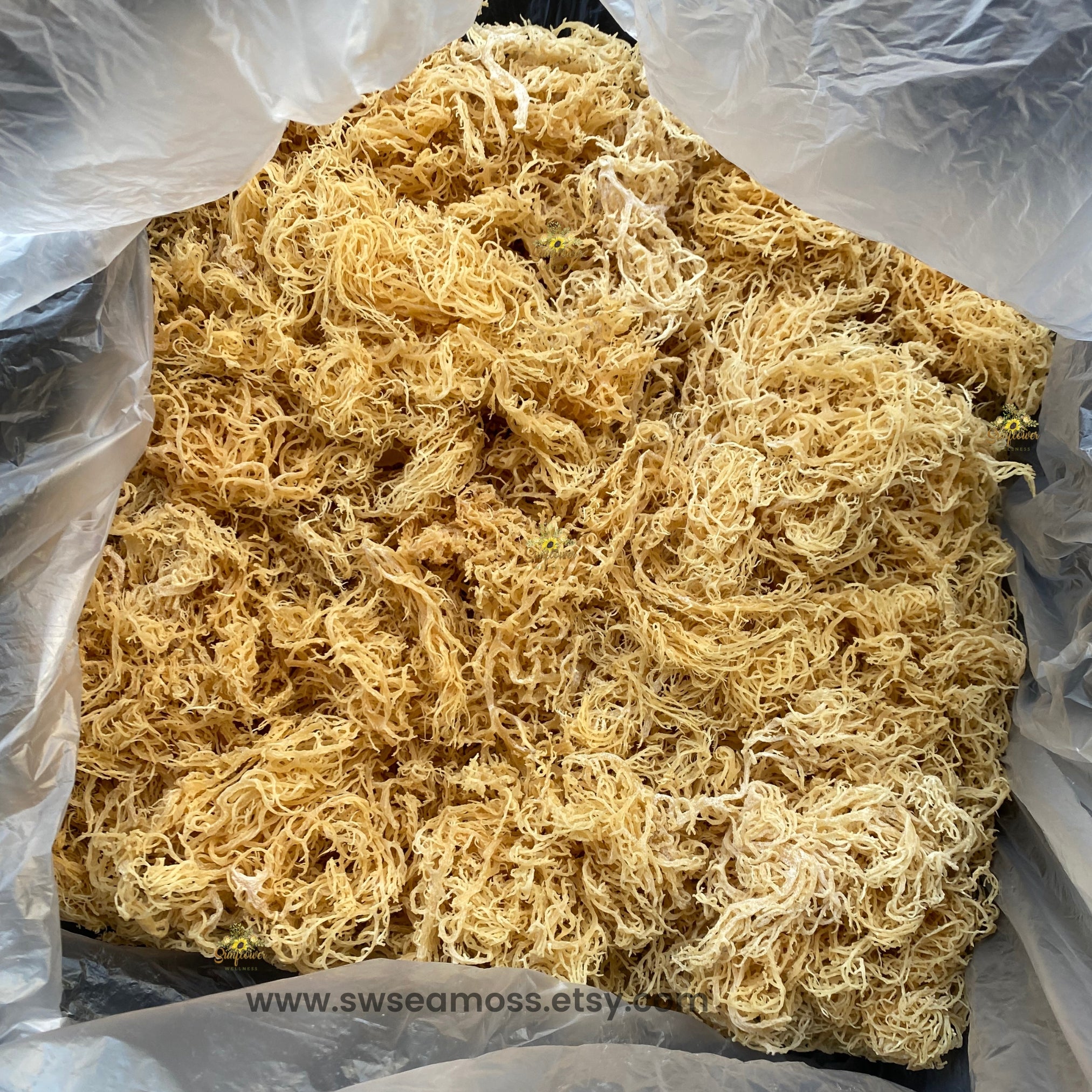 bulk sea moss