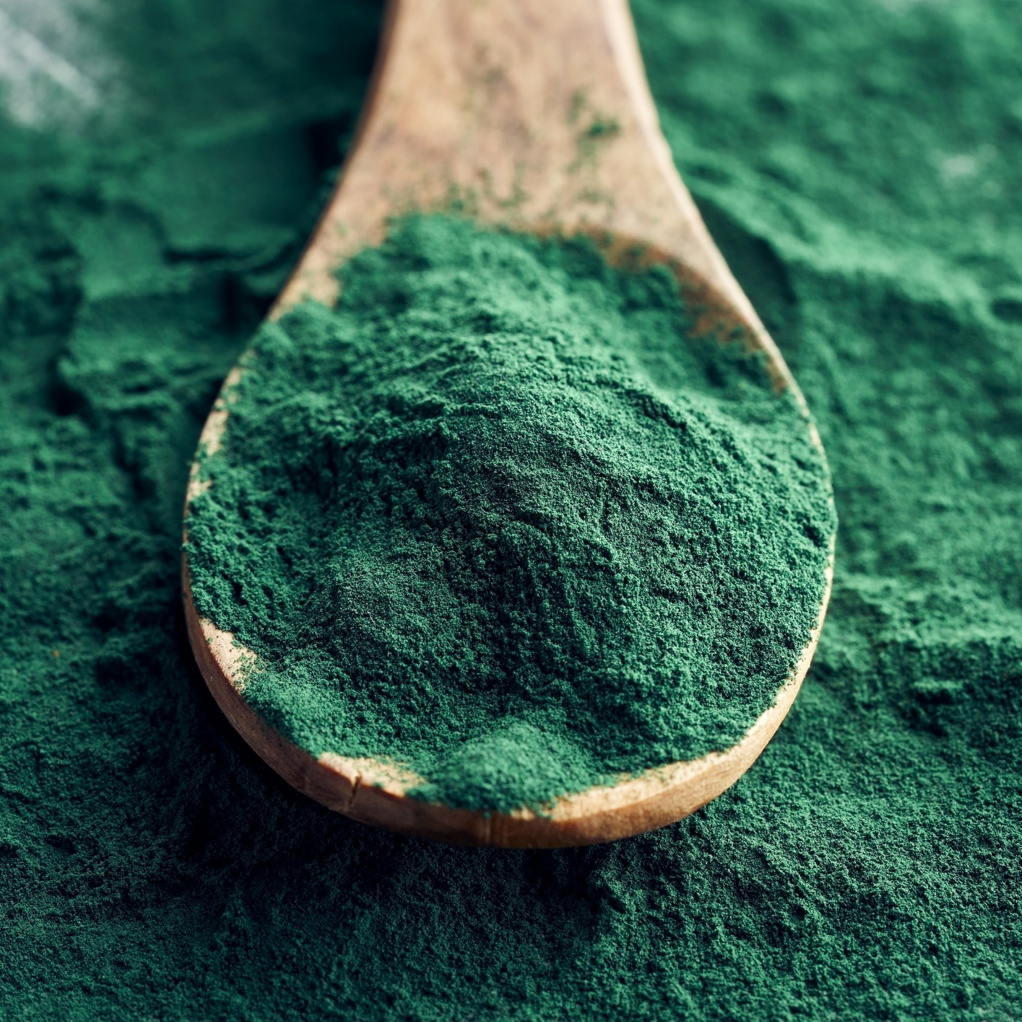 spirulina-powder.jpg