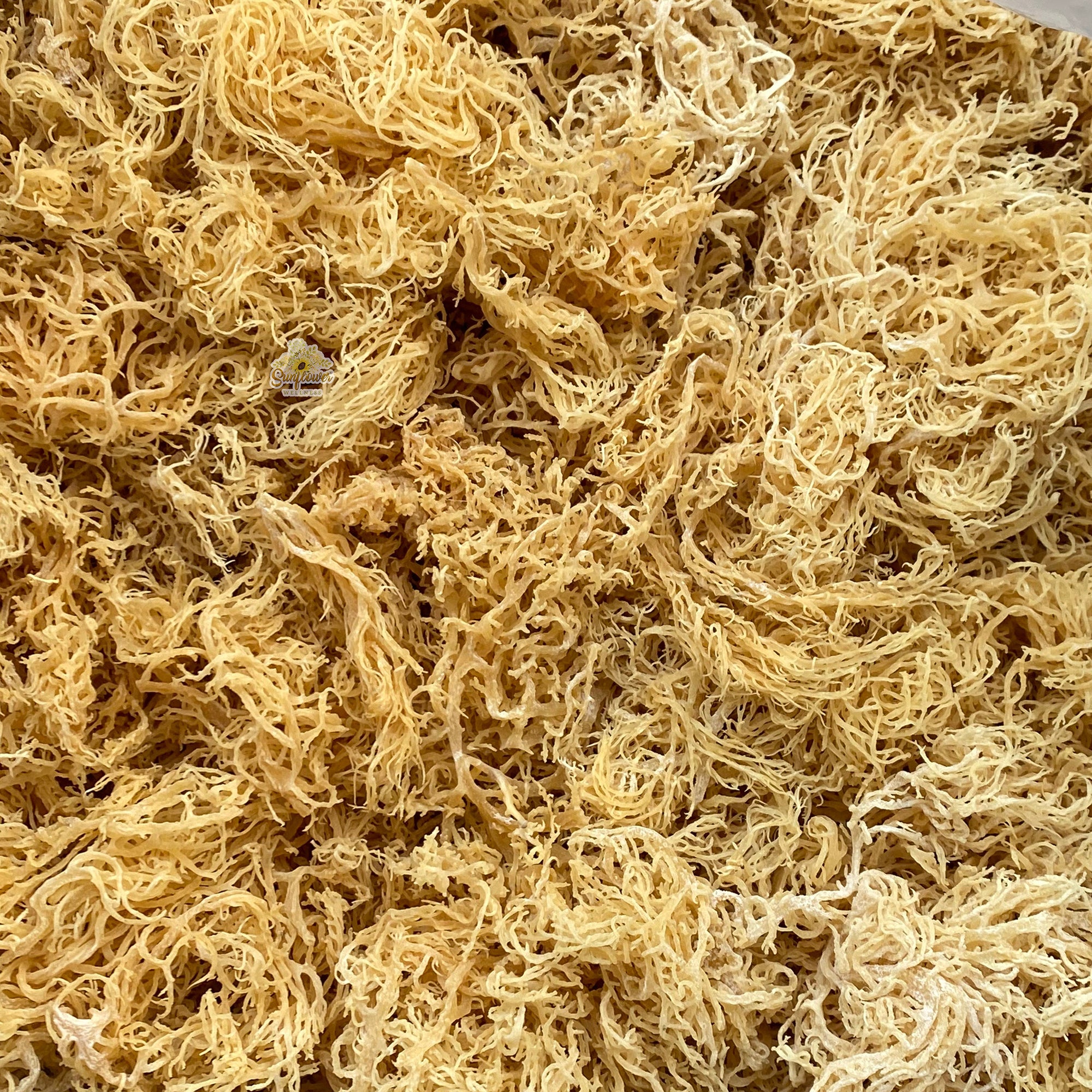 Gold sea moss St. Lucia wildcrafted and dried.