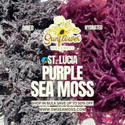 St. Lucia Purple Sea Moss by Sunflower Wellness, showing a comparison of dried wildcrafted sea moss on the left and hydrated sea moss on the right.