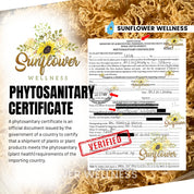 Phytosanitary Certificate for Wildcrafted St. Lucia Sea Moss – Ensuring Quality and Compliance with International Standards.