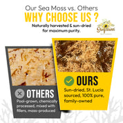 Comparison of wildcrafted St. Lucia sea moss vs pool-grown sea moss. Sun-dried, naturally harvested, pure gold sea moss labeled 'Ours' versus chemically processed, mass-produced sea moss labeled 'Others'.